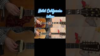 Hotel California intro shorts 12弦 ホテルカリフォルニア [upl. by Nirel]