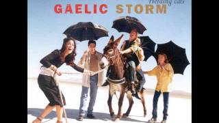 Gaelic Storm  The park east polkas [upl. by Marilee466]