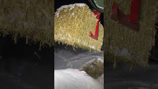 Cold Night for Stacking fendt farming haytractor agri satisfying shorts [upl. by Sucramd]