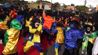 Carnaval 2011  Guadeloupe  Petit Bourg [upl. by Nella599]