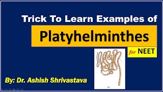 EXAMPLES OF PLATYHELMINTHES  NEET [upl. by Attebasile]