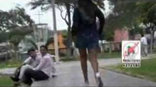 Hermanos Silva Princesita Sueña  video clip oficial [upl. by Barn]