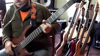 Mellowship Slinky In B Major  Red Hot Chili Peppers Bass cover [upl. by Mita]