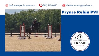 Prynce Rubin PVF  Morven Park Schooling Jumpers Jump Off [upl. by Appilihp]