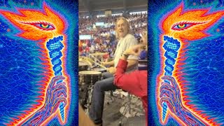 When Danny Carey goes OFF [upl. by Ellehcan]