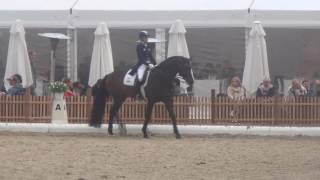 FRANZISKUS amp Ingrid Klimke Warmup at Horses amp Dreams meets Austria 2017 [upl. by Nye972]