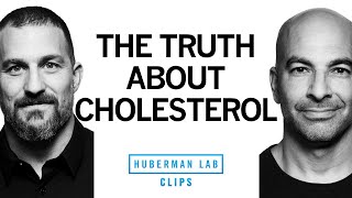 The Truth About Dietary Cholesterol  Dr Peter Attia amp Dr Andrew Huberman [upl. by Damon609]