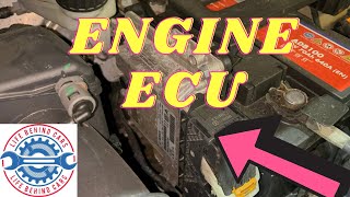 Peugeot Rifter 2018 Diesel Engine ECU Location [upl. by Lillie]