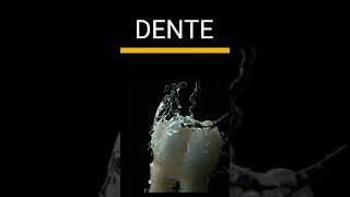 DENTE E SUA ANATOMIA INCRÍVEL DENTE dent tooth teeth teethwhitening [upl. by Webb736]