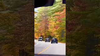 Kancamagus Highway  White Mountain National Forest  Passaconaway Road Albany  New Hampshire USA [upl. by Baxter]