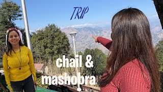 Trip to Chail amp Mashobra shimla trip travel chail mashobra travelvlog travelphotography [upl. by Eniarda]