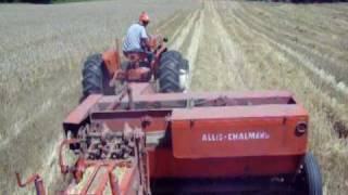 Wheatstock 8  Allis Chalmers 303 square baler baling straw 1002102mov [upl. by Itnavart254]