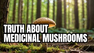 Medicinal Mushroom MYTHS Debunked in 2024 [upl. by Irmine946]