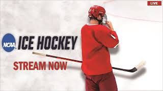 Hamline vs Aurora  2024 NCAA Mens Ice Hockey  LIVE [upl. by Castor882]