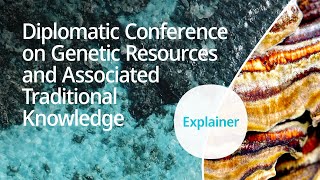 Explained WIPO Diplomatic Conference on Genetic Resources and Associated Traditional Knowledge [upl. by Ontina566]