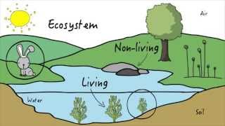 Unit 3 Ecosystems  KLU Science [upl. by Cyn960]