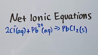 Net Ionic Equations [upl. by Ittap]