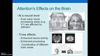 Attentional Blink and Change Blindness [upl. by Auohc]