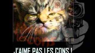 Georges Brassens chante les cons [upl. by Nahgeem]