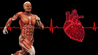 5 Important Exercises for Heart Health [upl. by Nolur]