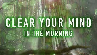 Clear Your Mind in the Morning  A Guided Mindfulness Meditation 8 minutes [upl. by Booze]