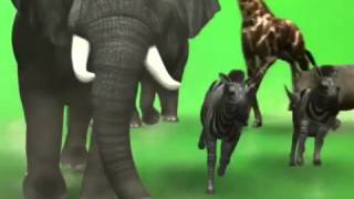 Green Screen Zoo Animal escape [upl. by Elberta]