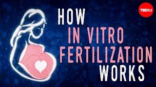 How in vitro fertilization IVF works  Nassim Assefi and Brian A Levine [upl. by Cohlier]