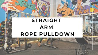 STRAIGHT ARM ROPE PULLDOWN [upl. by Fillender119]