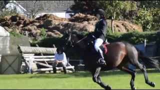 Showjumping raws inc fall [upl. by Radborne]