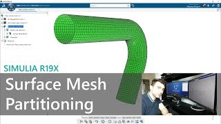 SURFACE Mesh Partitioning  SIMULIA 3DExperience R19x Live Demo [upl. by Norej]