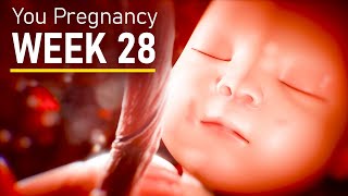 28 Weeks Pregnant Pregnancy week 28 fetal development [upl. by Yelmene]