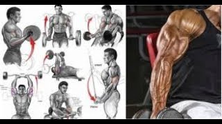 musculation bras motivation [upl. by Urian]