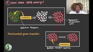 Understanding Antibiotics and Antibiotic Resistance 1 v02 [upl. by Vail]