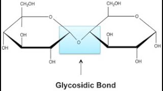 The formation of a Glycosidic bond Tamil [upl. by Ahsatak]