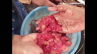 TOMATO SEED ACID EXTRACTION  DrSKavitha TNAU  Coimbatore [upl. by Odnaloy945]