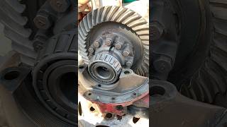 New ball bearings fitting in differential gear [upl. by Uria193]