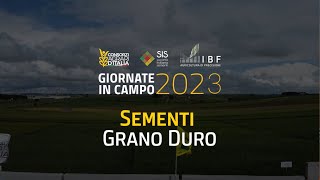 2023  Sementi  Grano Duro [upl. by Tully]