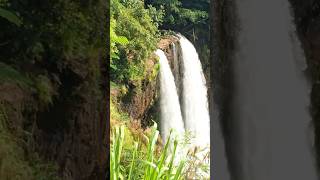 Beautiful Wailua Falls  Kauai Hawaii [upl. by Maxwell68]