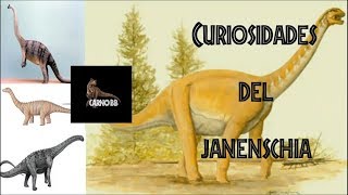 Janenschia Conoce a este Dinosaurio Dinosaurio HerbÃ­voro Carno bb [upl. by Anele390]