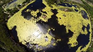 DJI Phantom 2 over the Cattana Wetlands [upl. by Cletus866]