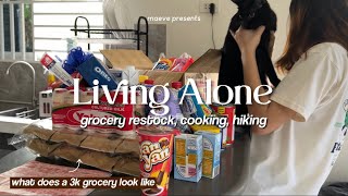 Living Alone in the Philippines What does a 3k grocery look like ref restock cooking hiking 🏔️ [upl. by Ariad744]