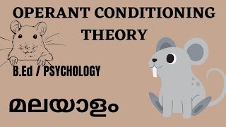 Operant Conditioning Theory by Skinner l BEdl psychology l explained in Malayalam [upl. by Siednarb]