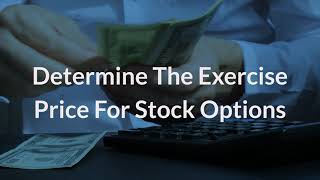 Determine the Exercise Price for Stock Options  Eqvista [upl. by Underwood290]