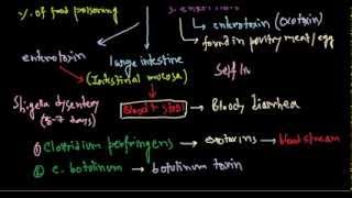 Organophosphate Poisoning [upl. by Carothers]