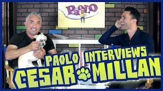 Cesar Millan On Training Dogs amp His New Show [upl. by Saraiya884]