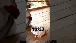 Insulation Spray  Toxic chemical  science shorts shortvideo shortsviral [upl. by Gussman]