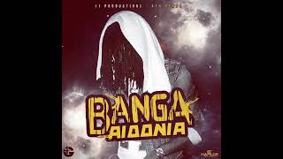 quotAidonia  Banga Official Audio  2017quot [upl. by Uphemia]