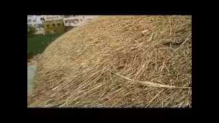 Cost of Thatch Roof in India [upl. by Eizle246]