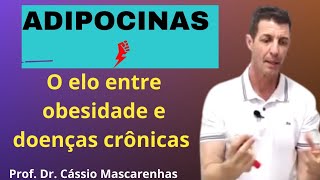 ADIPOCINAS o elo entre obesidade e doenças crônicas [upl. by Anor]