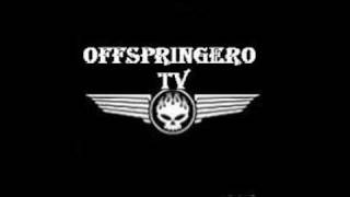 The Offspring Pass Me By demo new album [upl. by Hermann]